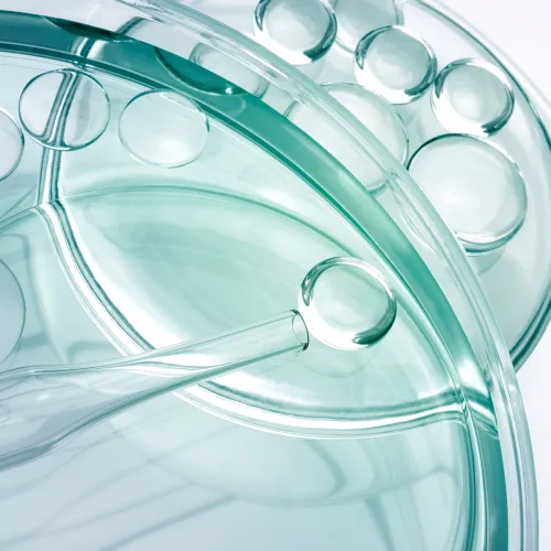 IlSaloneDiMilano összetevő Aminosav