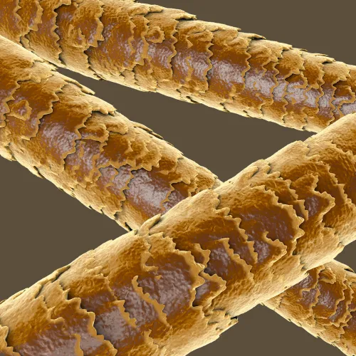 IlSaloneDiMilano összetevő Keratin