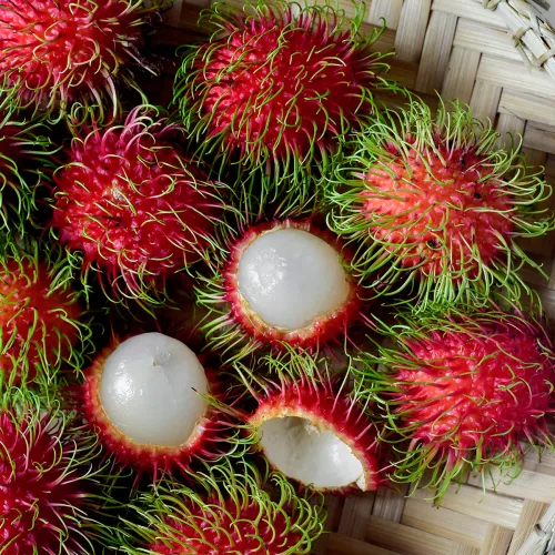 IlSaloneDiMilano összetevő Rambutan